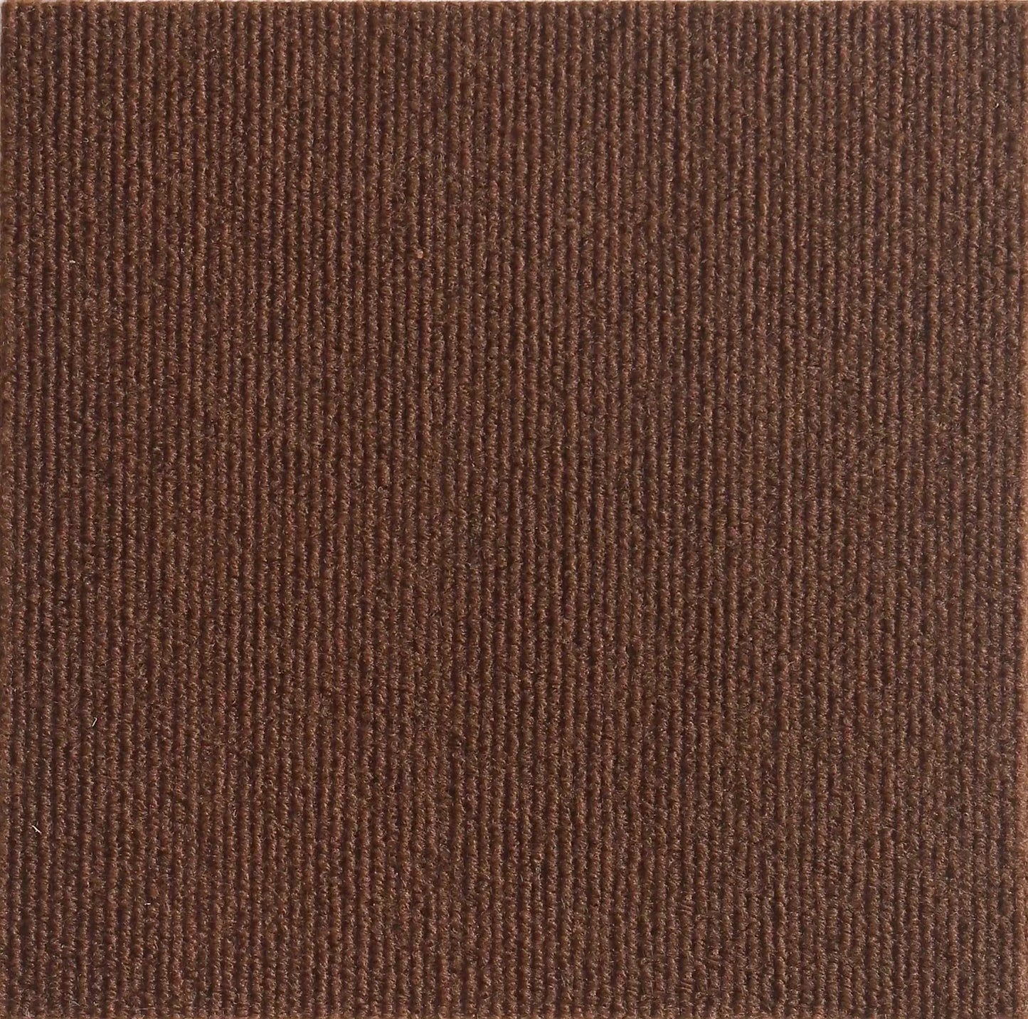 Planche à gratter auto-adhésive pour chat - protection meubles et murs