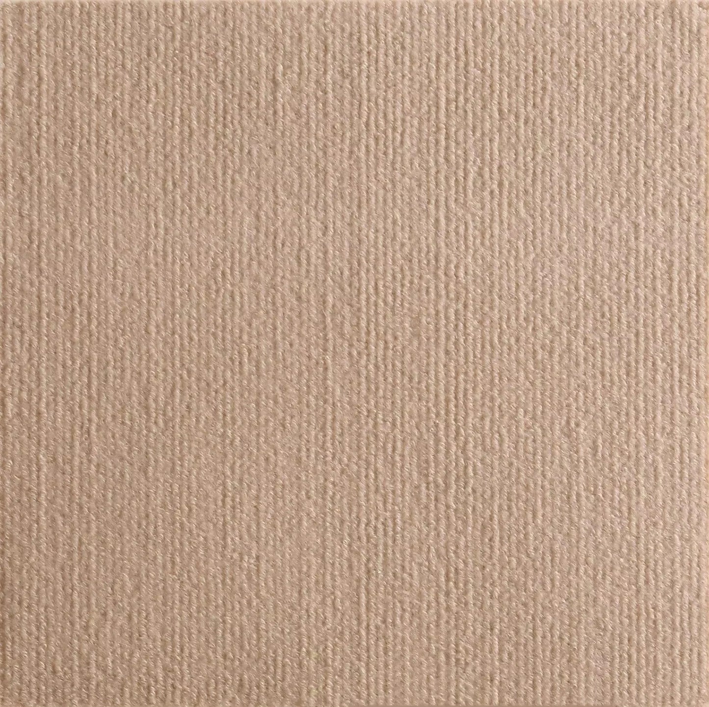 Planche à gratter auto-adhésive pour chat - protection meubles et murs